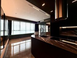 Skyline Residences (D4), Condominium #477795891